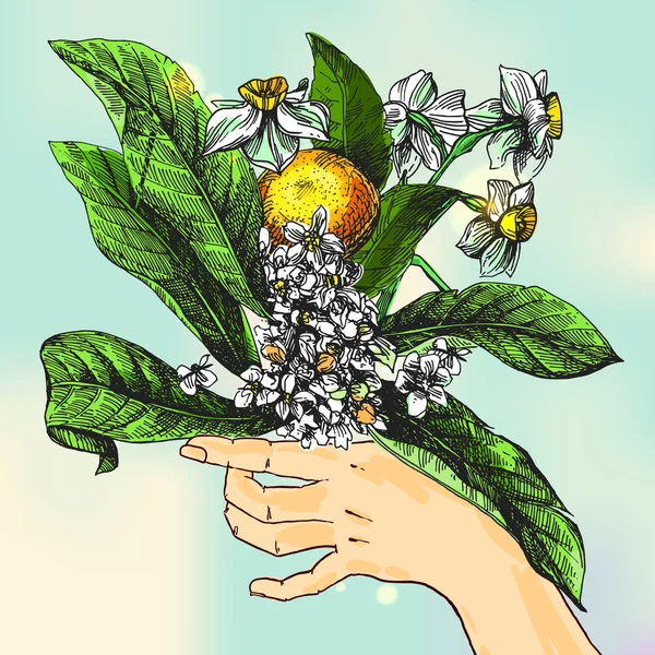 花のスケッチのベクトル図 — ストックベクタ