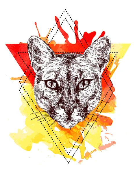 Ilustración del boceto puma — Vector de stock