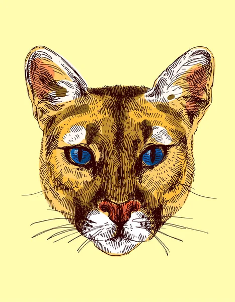 Puma croquis illustration — Image vectorielle