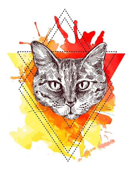 Illustration Porträt der Katze — Stockvektor