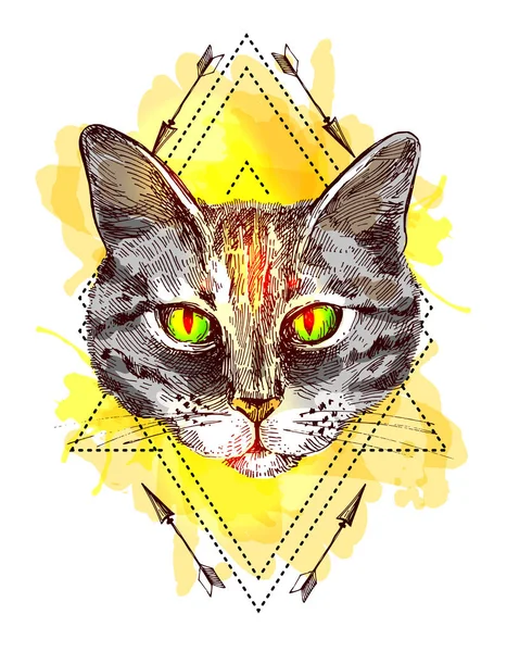 Retrato de ilustração de gato —  Vetores de Stock