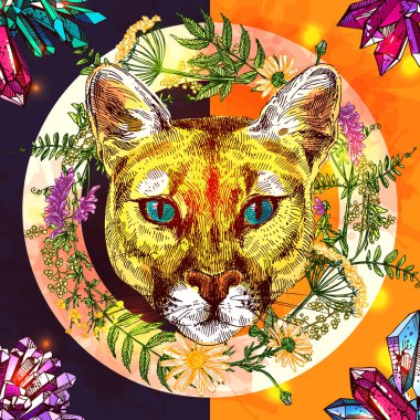 hayvan illüstrasyon