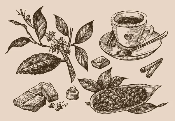 Croquis illustration chocolat — Image vectorielle