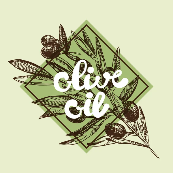 Vector ilustración oliva — Vector de stock