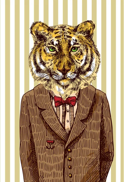 Tigre con chaqueta . — Archivo Imágenes Vectoriales