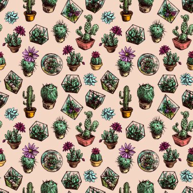 succulents ve kaktüs ile Seamless Modeli.