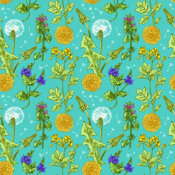野生の花のパターン — ストックベクタ