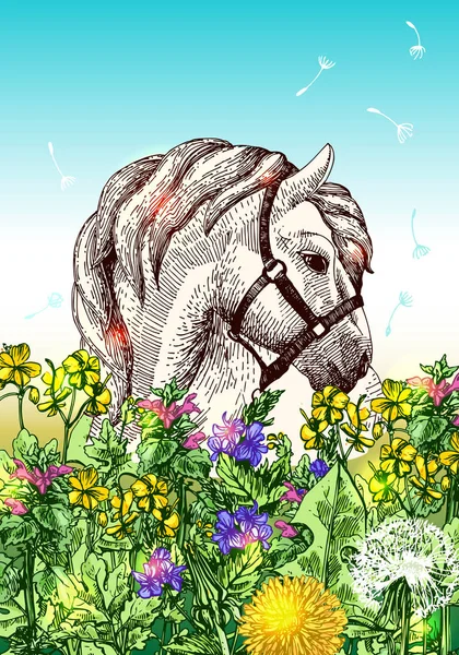 Cavallo con fiori — Vettoriale Stock