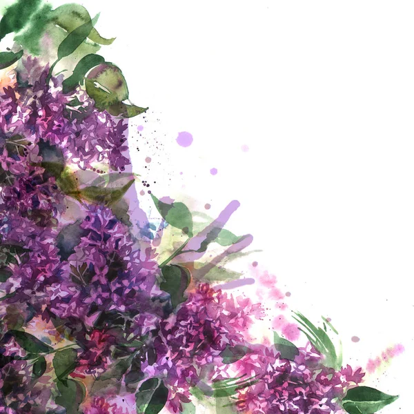 Ilustración acuarela lila . — Foto de Stock