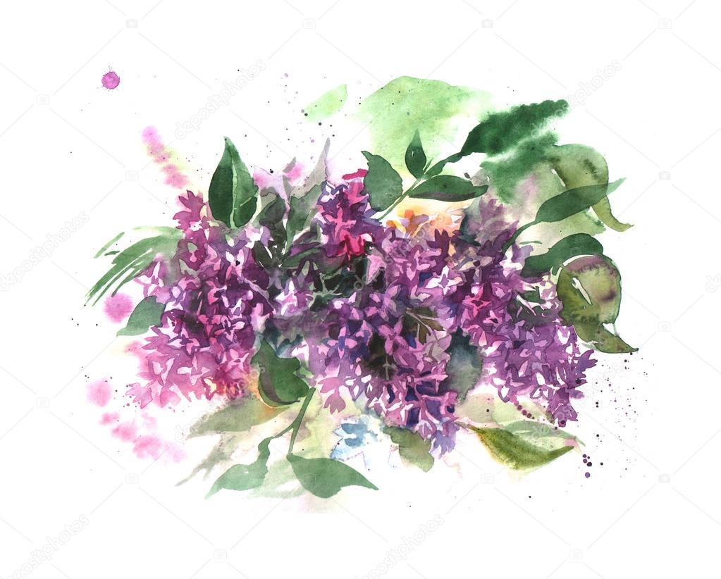 watercolor illustration lilac.