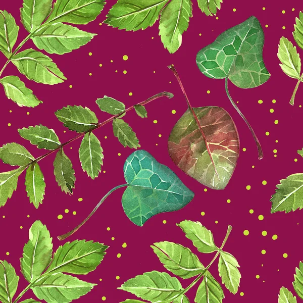 Illustration decorative  leaves — Stock Photo, Image