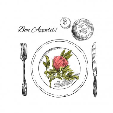 Vektör çizim tablo ayarını el çekilmiş