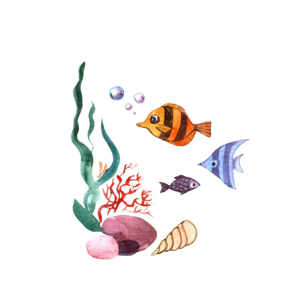 Krásné ručně kreslené ilustrace mořské řasy a ryby. — Stock fotografie