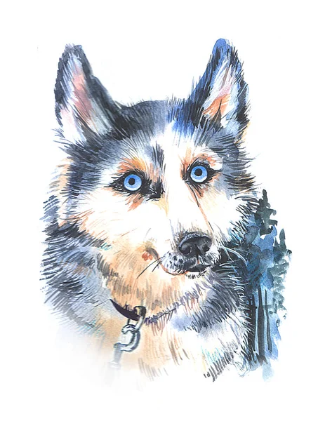 Bella mano disegnato acquerello illustrazione husky — Foto Stock