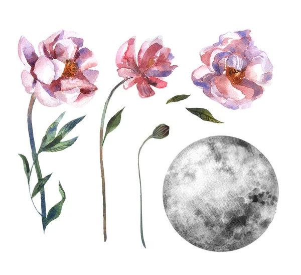 Akwarelowy księżyc i kwiaty. Ręcznie malowane akwarela piękna ilustracja. — Zdjęcie stockowe