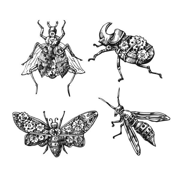 Mekanik böcek. El çizimi güzel vektör illüstrasyonu. — Stok Vektör