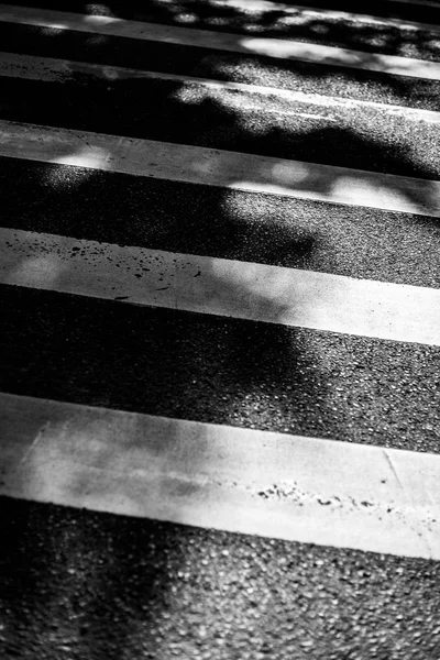 Black and white road crossing, asphalt in the shade