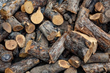 Ahşap kütük yığın doğa arka planı