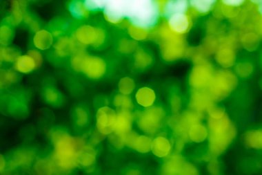 Yeşil bokeh arka planı. Yeşil bokeh. Yeşil bokeh soyut, odaklanmamış.