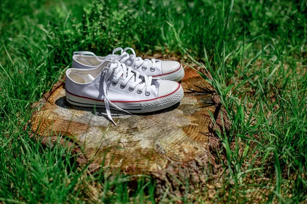Zapatos Deportivos Sobre Cáñamo Hierba Verde — Foto de Stock