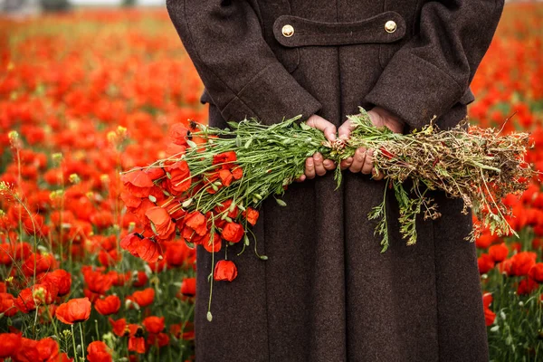 Papoilas Vermelhas Mãos Campo Primavera — Fotografia de Stock