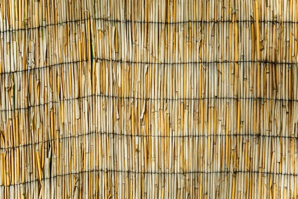 Texture Dry Reeds Yellow Reeds Fence Made Reeds Close Texture — Stock Photo, Image