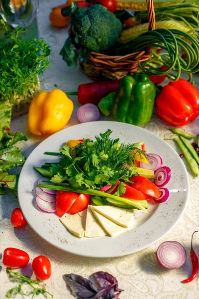 Comida Vegetariana Verduras Queso Plato Pimienta Cebolla Verduras Tomates Una — Foto de Stock