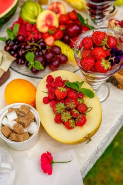 Böğürtlen ve meyve Elma, armut, kiraz, ahududu, erik, üzüm.