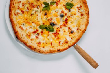 Beyaz arka planda farklı peynirli ve fesleğenli İtalyan pizzası.