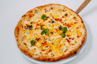 Beyaz arka planda farklı peynirli ve fesleğenli İtalyan pizzası.