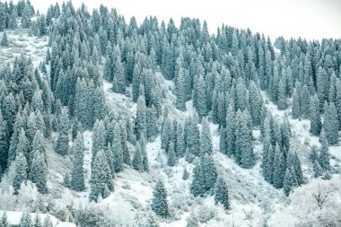 Sabahın erken saatlerinde dağ manzarası