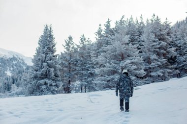 Güzel kış ormanlarında yürüyen birinin arka manzarası.
