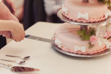 Güzel beyaz ve renkli düğün pastası. Bir gelin ve damat onların düğün pastası kesme
