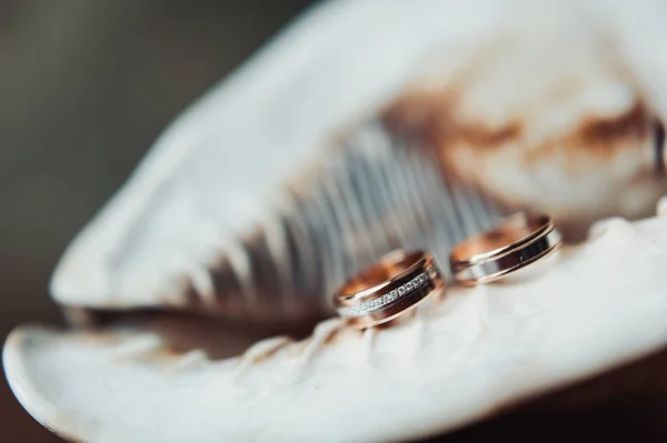 Dois anéis de casamento — Fotografia de Stock