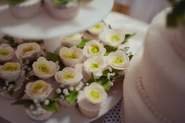 Bolo de casamento branco e colorido bonito. Uma noiva e um noivo estão cortando seu bolo de casamento — Fotografia de Stock