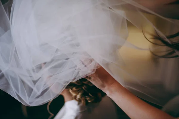 A noiva está a usar um véu. Belo véu longo de cor branca — Fotografia de Stock