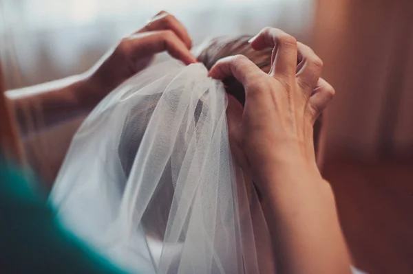 Bruden bär slöja. Vacker lång slöja av vita färg — Stockfoto