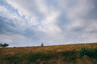 Kum bir yürüyüş gelin ve damat deniz alanı günbatımı mimari düğün çift çimen