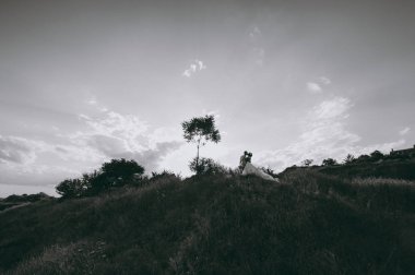 Kum bir yürüyüş gelin ve damat deniz alanı günbatımı mimari düğün çift çimen