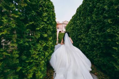 Kum bir yürüyüş gelin ve damat deniz alanı günbatımı mimari düğün çift çimen