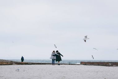 Yürüyüş beach yalnız, deniz arka plan, soğuk tonda colors.lifestyle görüntü, sıcak rahat mavi ceket giyen kız Girl.Walking yalnız, rüya zaman, deniz-martı çevresinde, fırtına zevk