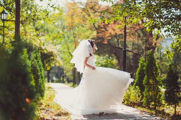 Hochzeitspaar auf einem Spaziergang Braut und Bräutigam Meer Feld Sonnenuntergang Architektur Gras Sand — Stockfoto