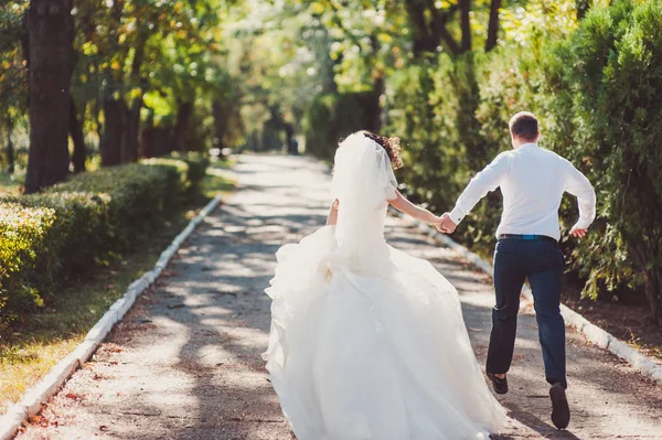 Kum bir yürüyüş gelin ve damat deniz alanı günbatımı mimari düğün çift çimen