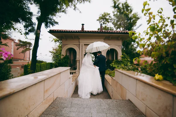 Matrimonio coppia su una passeggiata sposa e sposo campo di mare tramonto architettura erba sabbia — Foto Stock