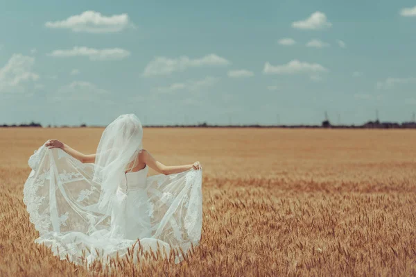 Kum bir yürüyüş gelin ve damat deniz alanı günbatımı mimari düğün çift çimen