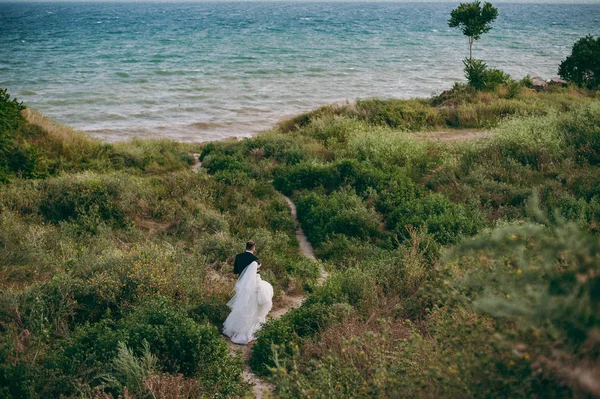 新婚夫妇步行新娘和新郎海场日落在体系结构上的草沙 — 图库照片