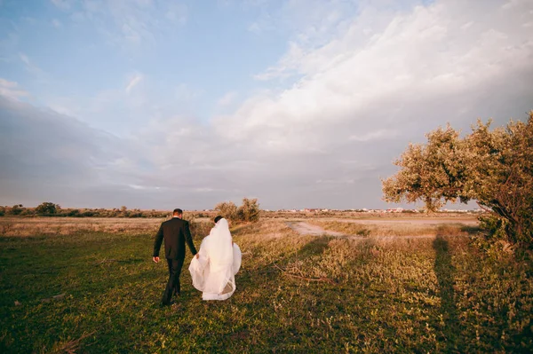 新婚夫妇步行新娘和新郎海场日落在体系结构上的草沙 — 图库照片