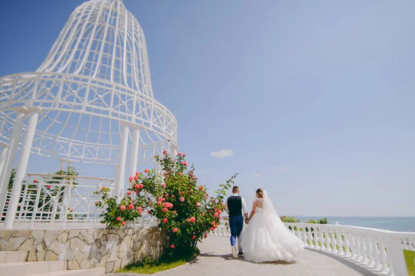 Hochzeitspaar auf einem Spaziergang Braut und Bräutigam Meer Feld Sonnenuntergang Architektur Gras Sand — Stockfoto