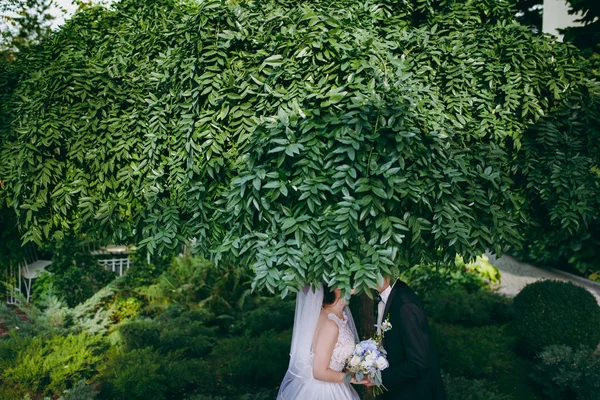 Couple de mariage sur une promenade mariée et marié champ de mer coucher de soleil architecture herbe sable — Photo