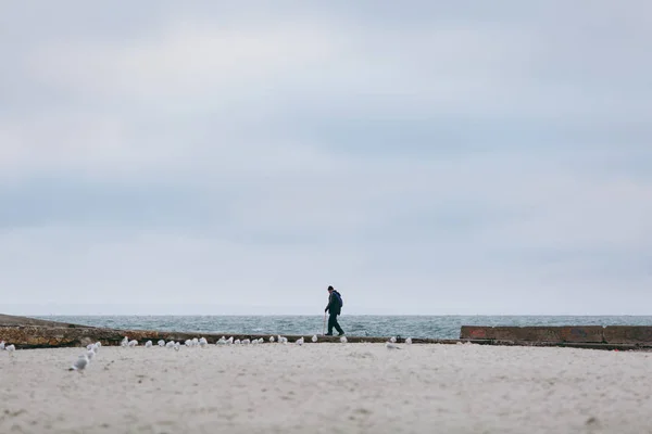 Viejo caminando solo cerca de la orilla del mar al atardecer, gaviotas volando sobre el mar, silueta . —  Fotos de Stock